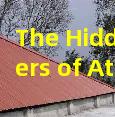 The Hidden Dangers of Attic Leaks and How to Stop Them